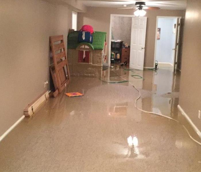 Standing water in a carpeted basement.