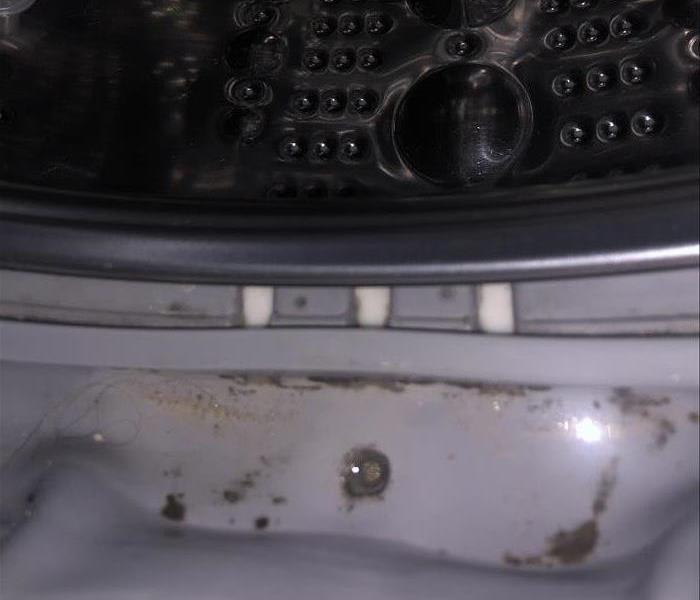 inside of washing machine, chrome colored inside, mold inside rubber part around the door of washing machine